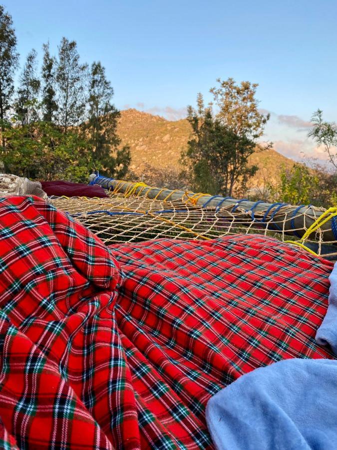 אירינגה Hidden Valley Backpackers מראה חיצוני תמונה